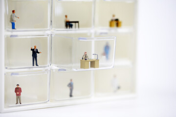 society in the box