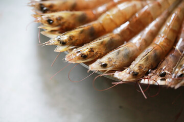 fresh shrimp/ Prawn on the table
