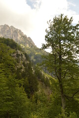 Stunning mountain landscape in the Valbona Valley in Albania