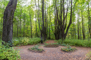 Old abandoned park in september sunny day with big trees, flower bed, path