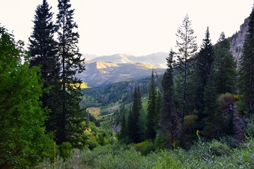 Timpanogos hiking trail landscape views in Uinta Wasatch Cache National Forest, around Utah Lake,...