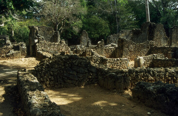 Fototapeta na wymiar excavated ruined city in the jungle of Kenya
