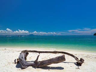 beautiful tropical beach with white sand