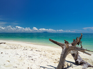Fototapeta na wymiar beautiful tropical beach with white sand
