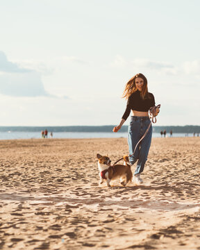 Beautiful young woman and Corgi puppy running along beach by water. Female walking with dog on Sunny day on ocean coastline. Active lifestyle, pet care