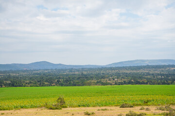 Fototapeta na wymiar African Farmland and landscapes from Kenya