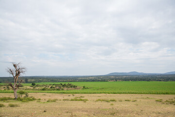 African Farmland and landscapes from Kenya