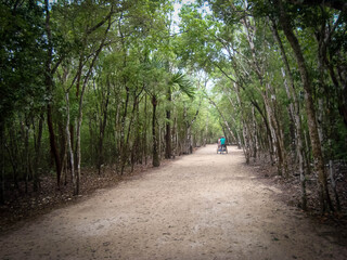 Fototapeta premium Tricycle guide tourists in Coba, Mexico