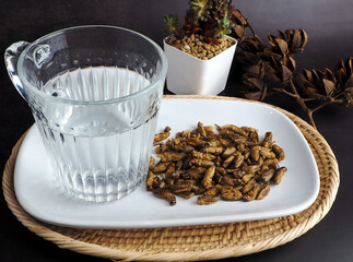  crispy cricket snack on white plate , good food for healthy lifestyle , Edible insects contain high quality protein