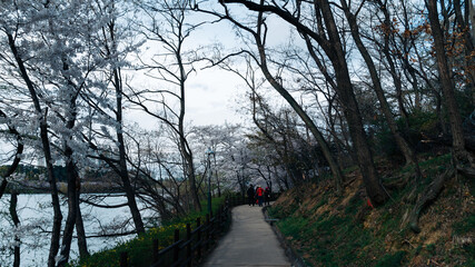 person walking in the park