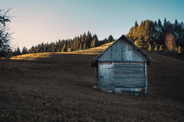 Abandoned wooden farmhouse on the deserted outskirts of the village at summer sunset in Carpathian Mountains.