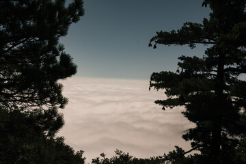 Landscape with clouds
