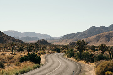 Joshua Tree national Park