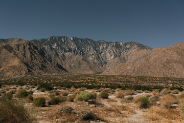Fototapeta na wymiar Palm Springs