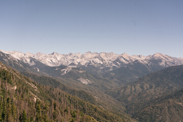 Mountains and trees