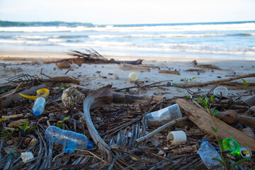 Plastic pollution, littering on the beach