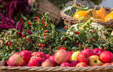 Erntedankfest, Hintergrund