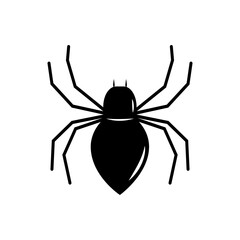 Black spider. Isolated vector illustration on the white background. Flat spider icon with highlights