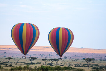 Fototapeta premium adventure, africa, african elephants, agriculture, air, animal, baby elephant and mother, baby elephants, background, balloon, balloon safari, ballooning, blue, colorful, countryside, elephants, farmi