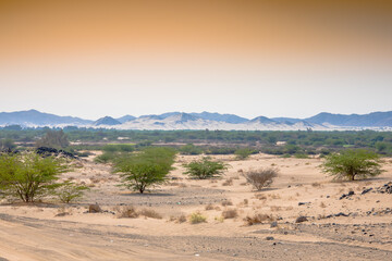 Dessert and Mountains with Dessert Road, Saudi Arabian Dessert