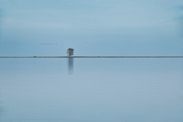Blue silence