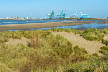 Dunes and Zeebrugge harbor behind, Belgium