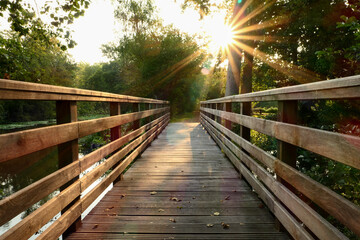 Wooden bridge in the middle of the forest. Rays of the sun through the foliage of trees. Bridge in nature in summer or spring.