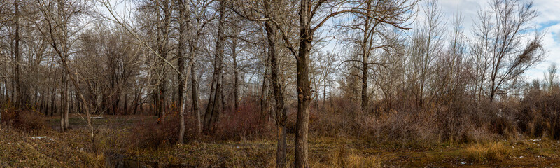 Allphotokz Taldykorgan Nature 20141111 1572 5DM3 PS2