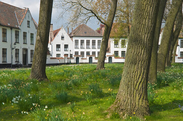 Fototapeta na wymiar Bruges Beguinage Ten Wijngaerde, Historic centre of Bruges, Belgium, Unesco World Heritage Site.