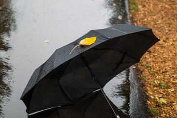 Black umbrella in rainy weather in autumn. Autumn concept.