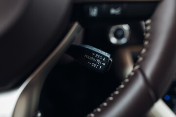 Car detail, cruise control switch close up