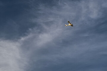 yellow plane flying against a sky