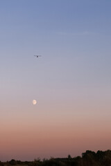 The Moon and a plane in the clear duotone gradient blue evening sky.