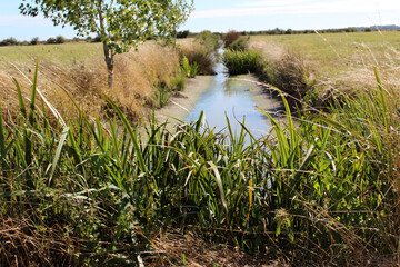 marais salant  /vend&eacute;e