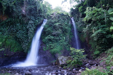 Fototapeta premium waterfall in the forest