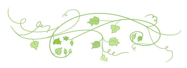 pumpkin vines leaves and curls in autumn or halloween design element, cute autumn garden plant illustration © Arlenta Apostrophe