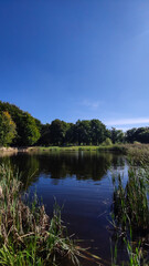 Perfect lake in the city park