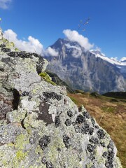 Fototapeta premium rocks in front of hills and swiss alp mountains