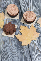 Chocolate cupcakes with cream cheese cream. Nearby are dried maple leaves. On pine planks painted black and white.