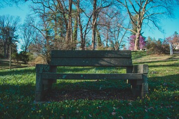 An Old Park Bench in a Shady Field With Trees Behind It