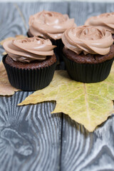 Chocolate cupcakes with cream cheese cream. Nearby are dried maple leaves. On pine planks painted black and white.