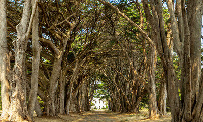 Fototapety na wymiar - Fototapeta24.pl