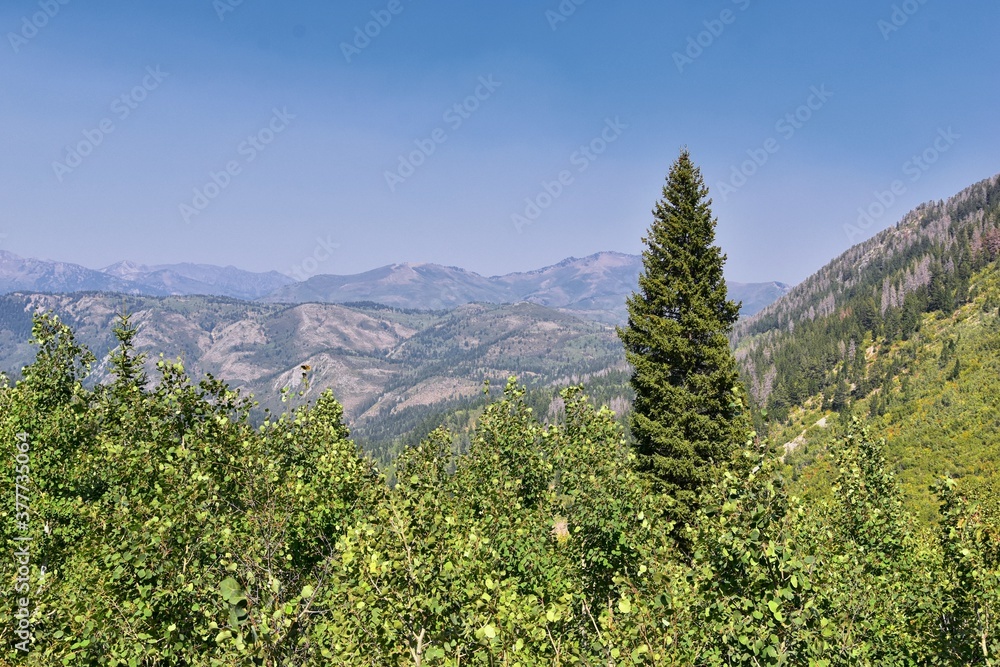 Wall mural Timpanogos hiking trail landscape views in Uinta Wasatch Cache National Forest, around Utah Lake, in the Rocky Mountains in fall. Views of Midway, Heber, Provo city, Salt Lake and Utah County. USA.