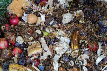 Biomüll im Kompost im Garten