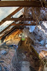 Inside an Old Abandoned Greenhouse With a Room Full of Live Plants at the End