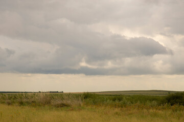View of a summer field in inclement wind and gray clouds in the sky. - 377735481