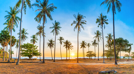 Sunset with palm trees on beach, panorama landscape of palms on sea island