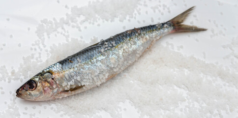 Raw mackerel fish with sea salt on white ceramic surface
