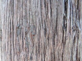 old wood texture