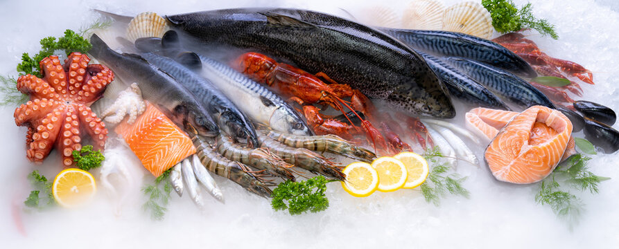 Fresh seafood on ice background.